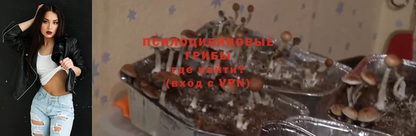соль ск Елизово