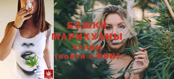 соль ск Елизово