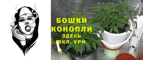 соль ск Елизово