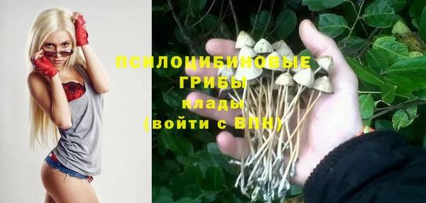 соль ск Елизово